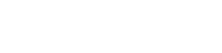 0logoipsum-262-1